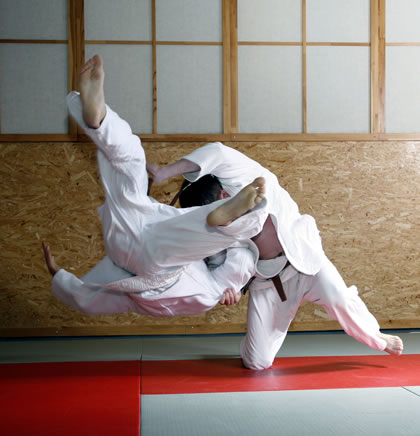 Judo judo.jpg